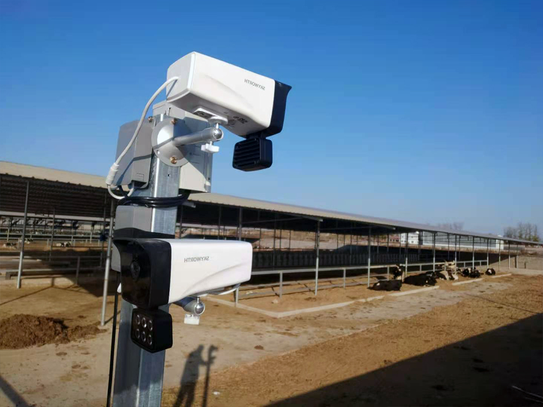 2024澳网门票官方网站